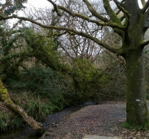 Balade à Saint-Thégonnec, par le pont, la passerelle et le passage secret - Saint-Thégonnec Loc-Eguiner - 3
