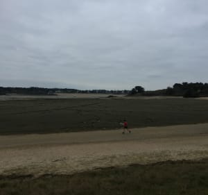 Entre terre et mer au Fort du Guesclin - Saint-Coulomb - 3