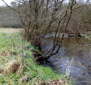 Balade à Saint-Thégonnec, par le pont, la passerelle et le passage secret - Saint-Thégonnec Loc-Eguiner - 4