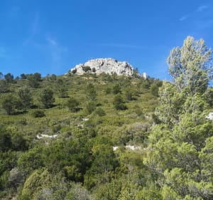 Les Monts Caume Est et Ouest - Évenos - 3