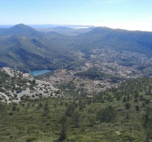 Les Monts Caume Est et Ouest - Évenos - 4