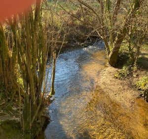Ballade vallée du Cens-Sautron - Sautron - 3