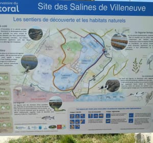 Les Salines de Villeneuve depuis Les Clauzels - Villeneuve-lès-Maguelone - 3