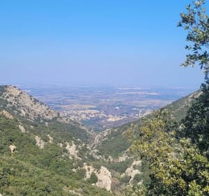 Tour des Fonts à Laroque des Albères - Laroque-des-Albères - 3