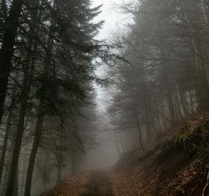 Puy de Jume, de la Coquille en Louchadière - Saint-Ours - 4