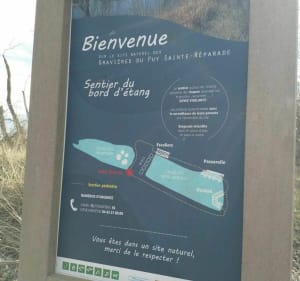 Balade le long de La Durance. Les Gravières du Puy - Le Puy-Sainte-Réparade - 3