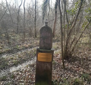 Grande boucle dans la forêt d'Erstein - Erstein - 4