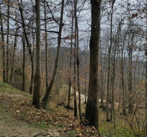 Saint-Laurent-de-Cerdans, calvaire et chemin de croix - Isabelle - 2