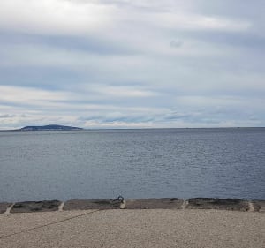 Langs de Thau-lagune, tussen Mèze, Marseillan en Pinet met de mountainbike - Mèze - 3