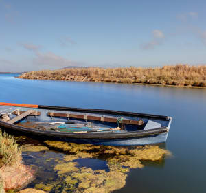 Langs de Thau-lagune, tussen Mèze, Marseillan en Pinet met de mountainbike - Mèze - 4