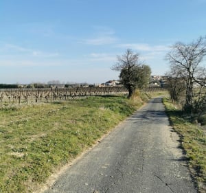 Balade facile sur les terres Abeilhanaise - Abeilhan - 3