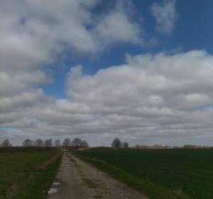 Balade en pleine campagne du pays de Caux - Ilona - 5
