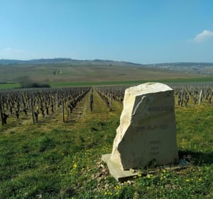 Une balade aux alentours de Buxy par le Château de Ponneau - Buxy - 5