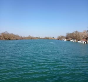 Le tour de Camargue en 2 jours : jour 2 - Saintes-Maries-de-la-Mer - 5