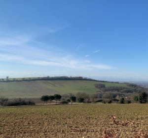 Sur les hauteurs d'Estantens à Muret - Muret - 4