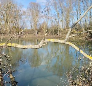 Campagne et coteaux de Doué-en-Anjou - Doué-en-Anjou - 3