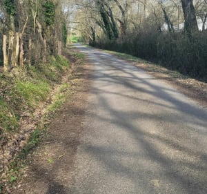Campagne et coteaux de Doué-en-Anjou - Doué-en-Anjou - 5