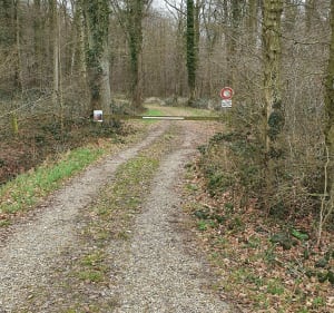 Petite marche en Forêt de Creuse - Creuse - 3