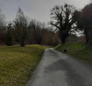 De Regnonval à Regnonval à travers la campagne - Blicourt - 5