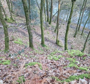Petit footings matinale sur les bords du Don - Guémené-Penfao - 5