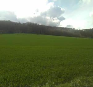 Saint-Aubin-sous-Erquery à VTT / VTC - Saint-Aubin-sous-Erquery - 4