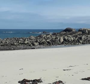 Balade sur la côte Nord du Finistère - Cléder - 3