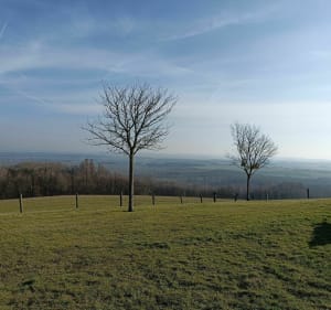 Virine Loop in Circourt - Circourt - 3