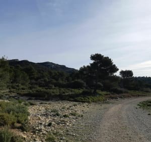 Le Luberon par la Piste de Valloncourt et La ferme des Mayorques - Cheval-Blanc - 3