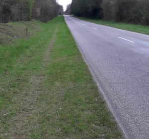 Chemin rural de Tigy par le Bois de Balesme - Tigy - 3