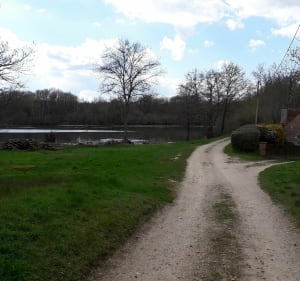 Chemin rural de Tigy par le Bois de Balesme - Tigy - 4