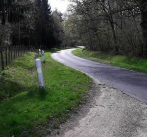 Chemin rural de Tigy par le Bois de Balesme - Tigy - 5