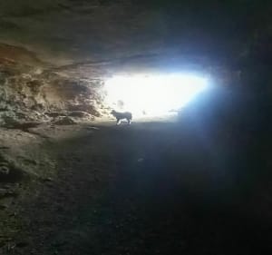 Monté dans le ravin des Encanaux par les sentiers d'Antan - Auriol - 3