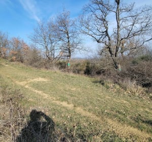 Petite rando à Villeneuve-la-Comptal près de Castelnaudary - Villeneuve-la-Comptal - 5