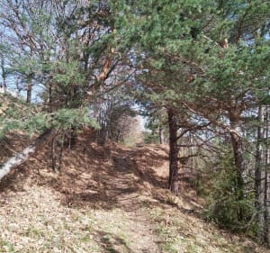 Fermes et sous-bois autour du torrent de Bonne - Gap - 3