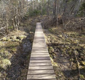 Fermes et sous-bois autour du torrent de Bonne - Gap - 4