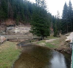 Petit tour du Meaudret et cabane de la Cochette - Autrans-Méaudre-en-Vercors - 5