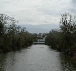 Une balade autour du Petit Rhône entre Arles et St-Gilles - Arles - 4
