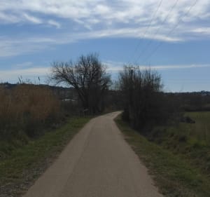 Boujan,  boucle dans les vignes - Boujan-sur-Libron - 4