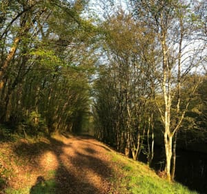 Boucle de Sury à Vitry en passant par Combreux - Sury-aux-Bois - 3
