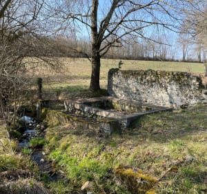 Boucle du Cap du Bosquet à Labarthe-Inard - Labarthe-Inard - 3
