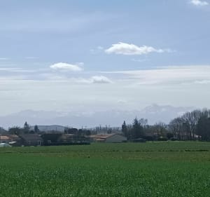 Le Grand Villecomtal et passages secrets - Villecomtal-sur-Arros - 5