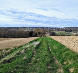 Circuit par la crête de Charbonnière au sud de Lyon - Saint-Just-Chaleyssin - 5
