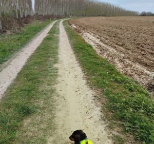 Rainneville - St-Gratien - Querrieu - Allonville - Cardonnette - Rainneville - 4