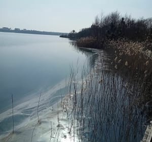 Lacs Arjuzanx - Morcenx-la-Nouvelle - 5