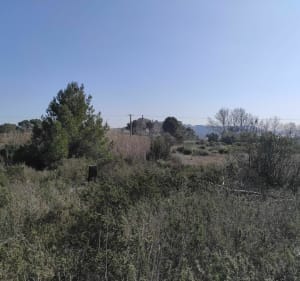 De l'Usine au futur Golf - Istres - 5
