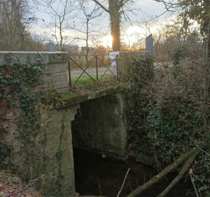 De Nègrepelisse au moulin de Réalville - Nègrepelisse - 3