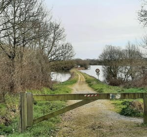 Etang du Gros Caillou - Pornic - 3