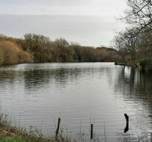 Etang du Gros Caillou - Pornic - 5