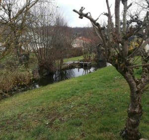 Découverte de la forêt de Pont-St-Vincent - Sexey-aux-Forges - 4
