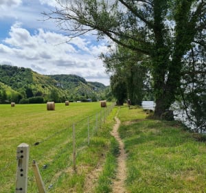 Rando avec vue panoramique sur la vallée de la Seine - Amélie - 3